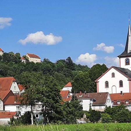 Ferienwohnung Odenwaldflair Reichelsheim المظهر الخارجي الصورة
