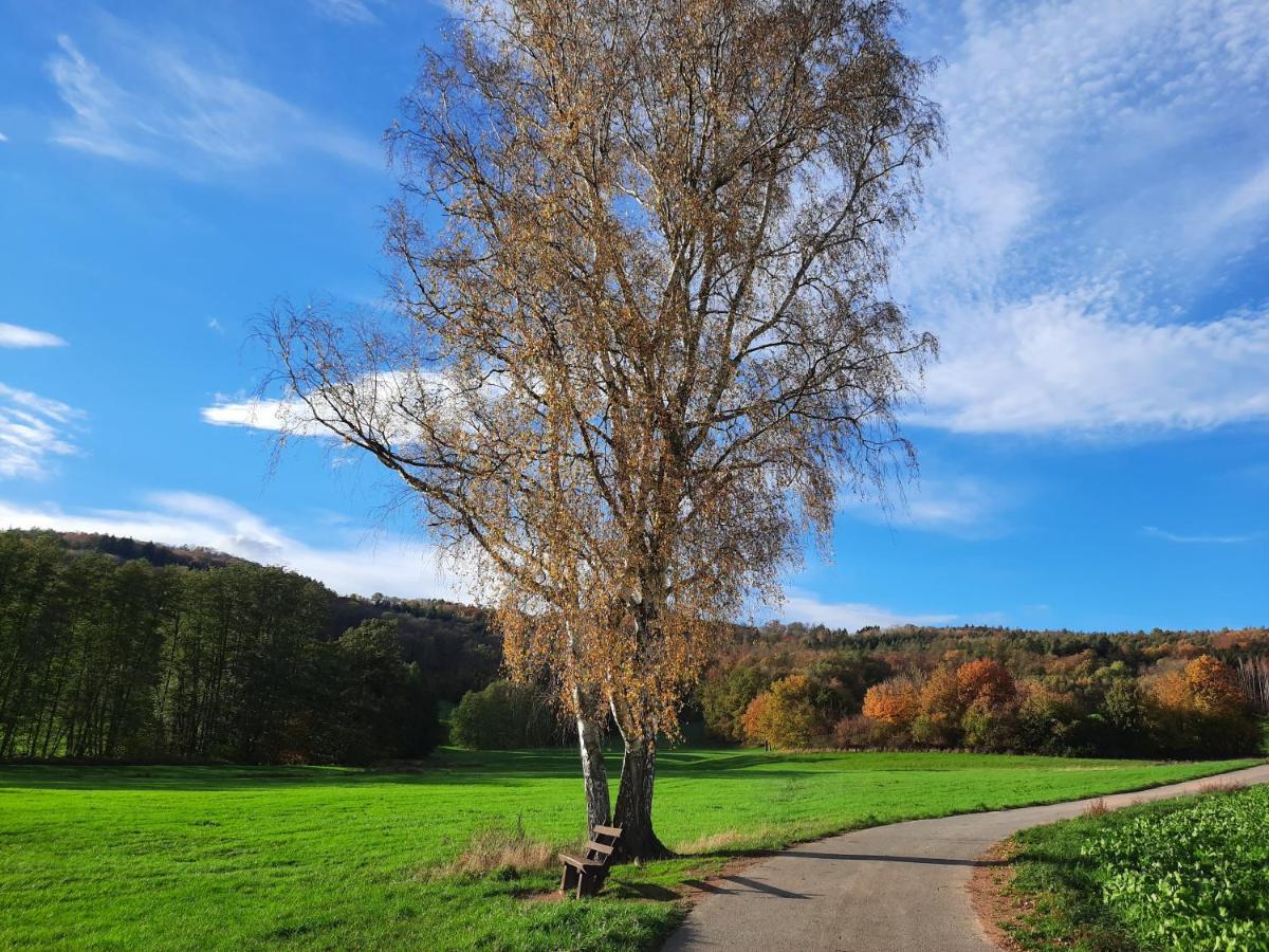 Ferienwohnung Odenwaldflair Reichelsheim المظهر الخارجي الصورة